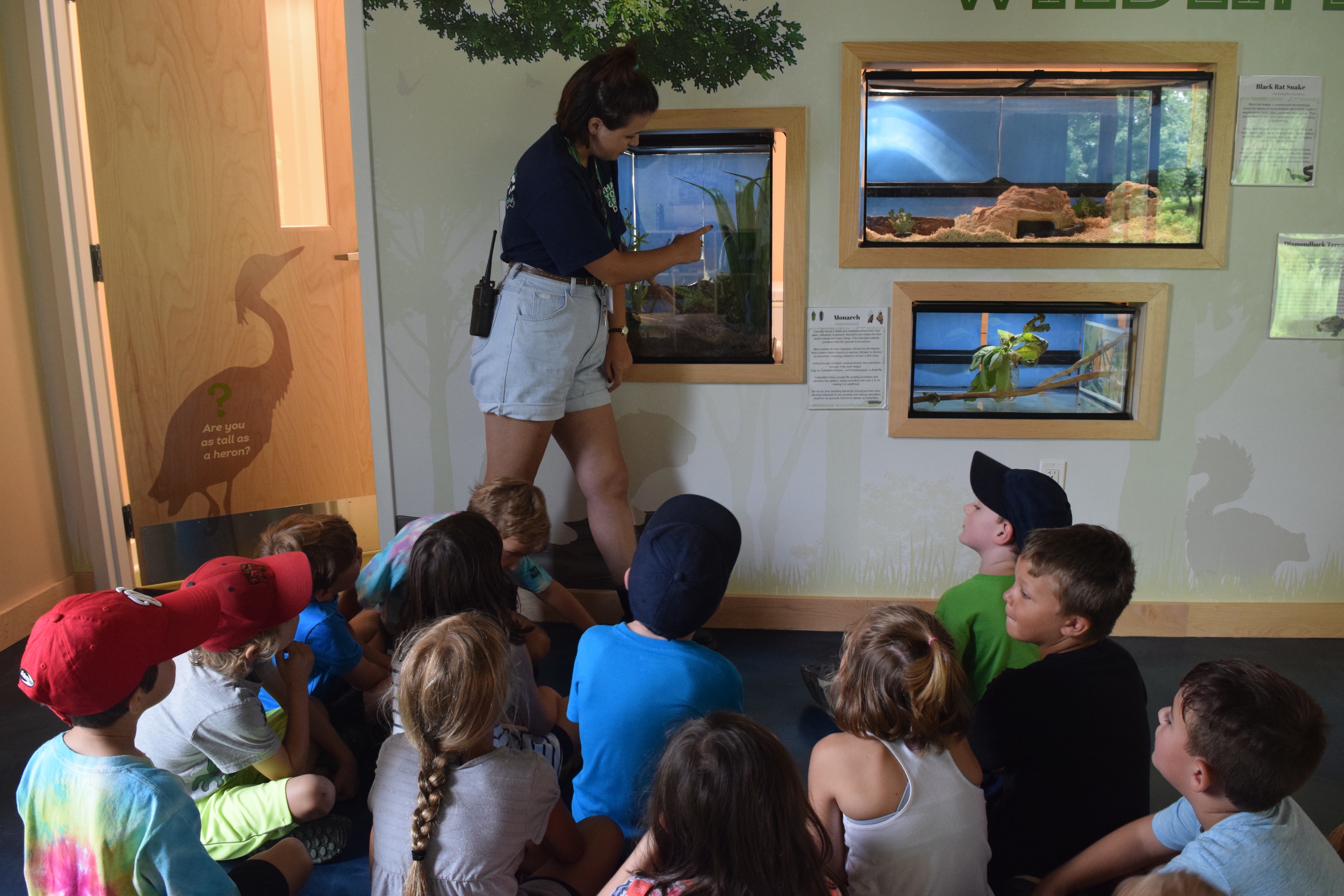 Nature Center Camp 2017